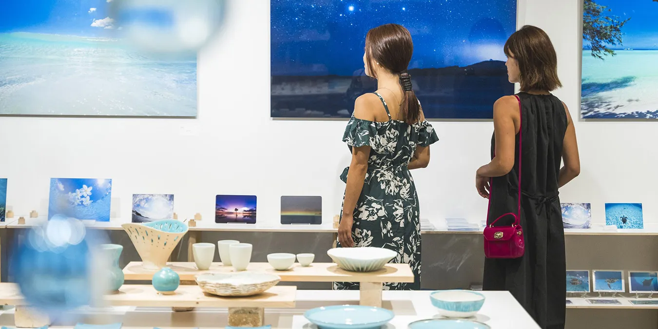 Shop & Gallery