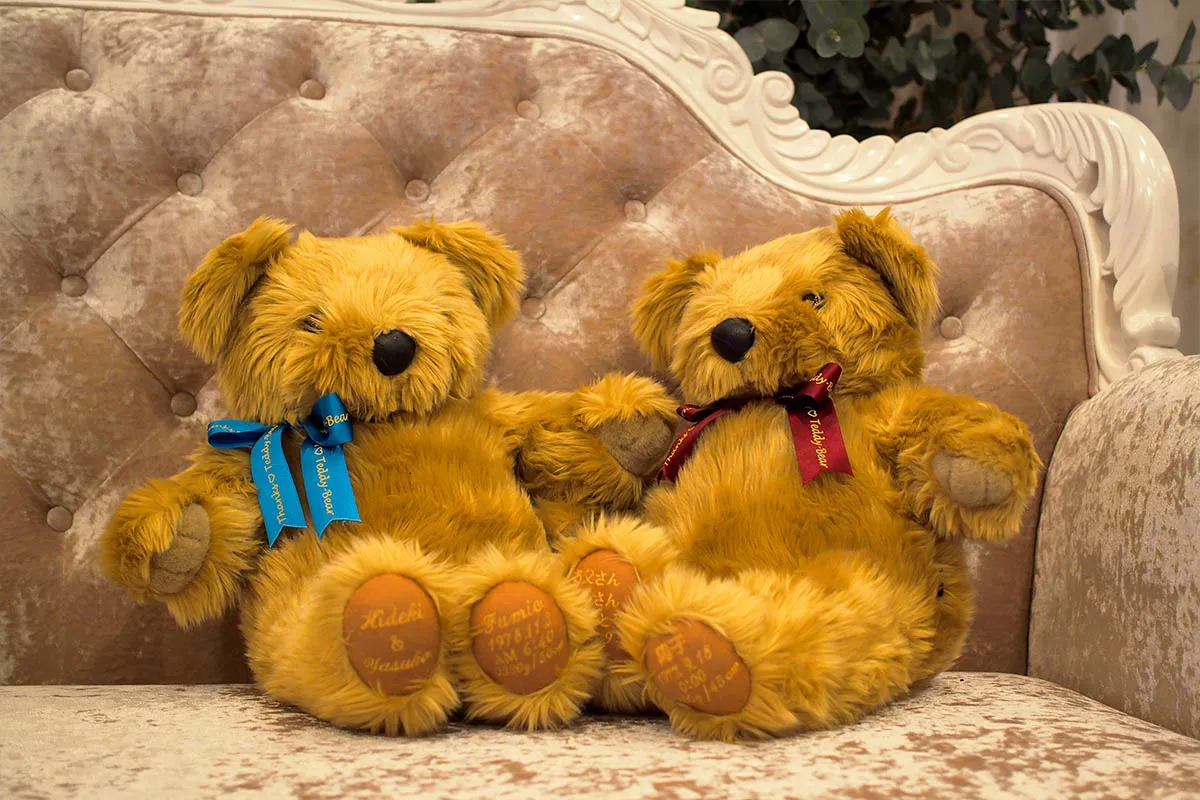 Thank you, Teddy Bear