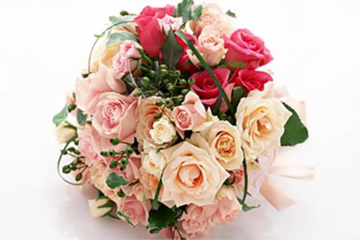 We can help you with your surprise planning.