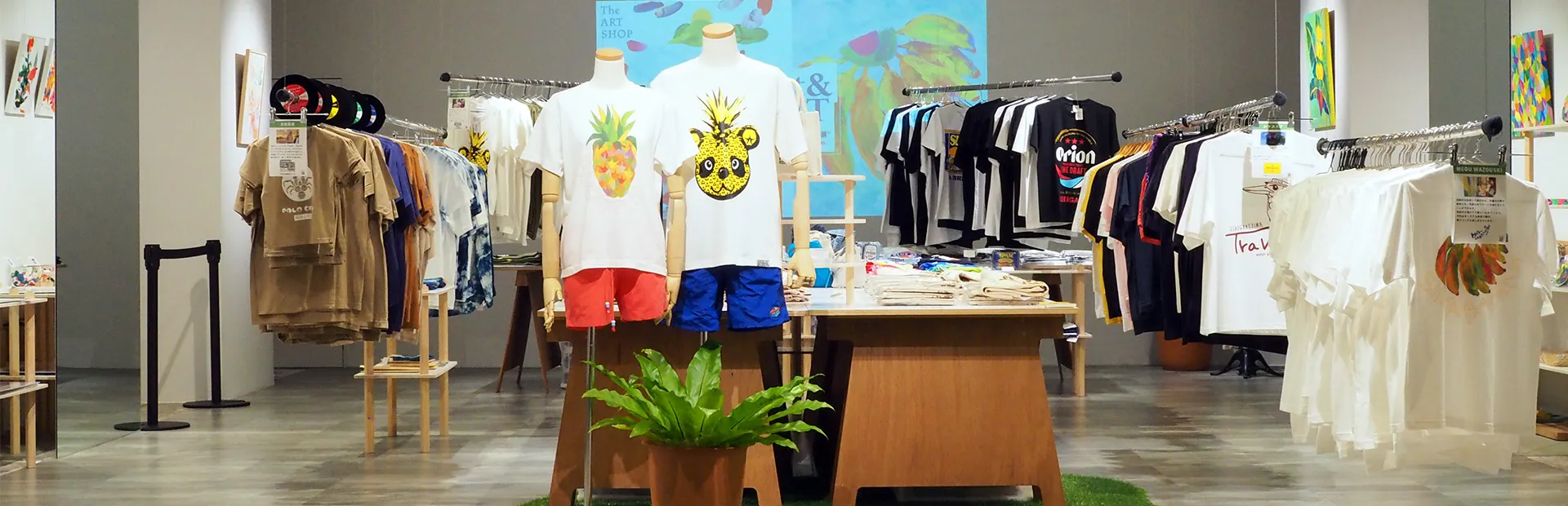 Shop & Gallery