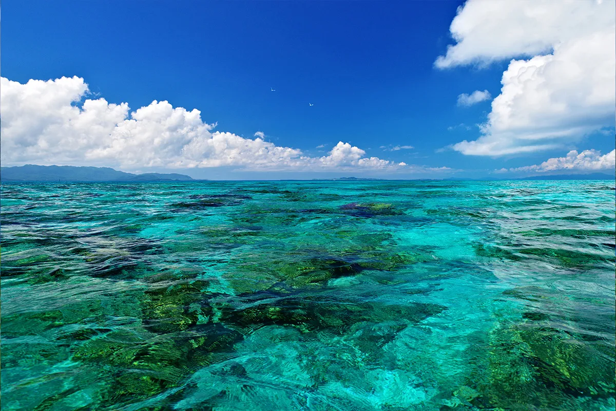 Aragusuku Island