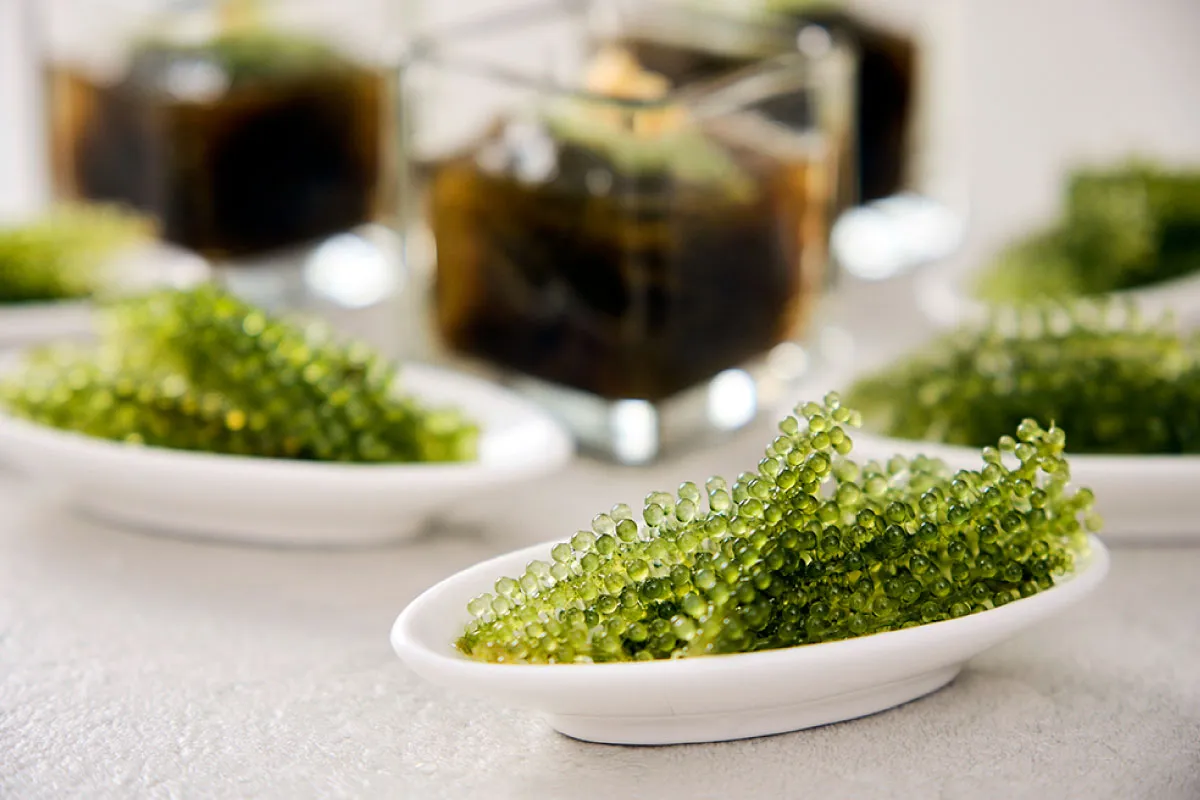 Sea grapes, mozuku seaweed, etc.