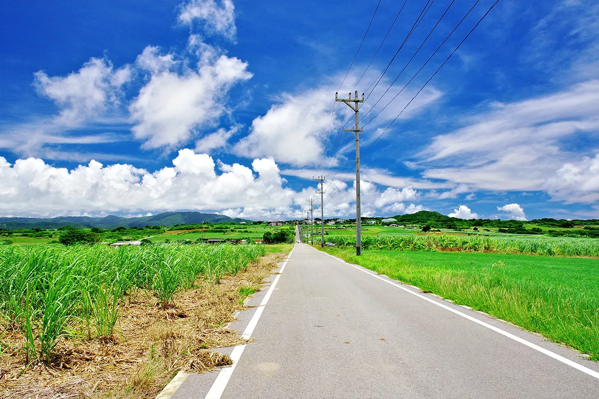 Kohamajima
