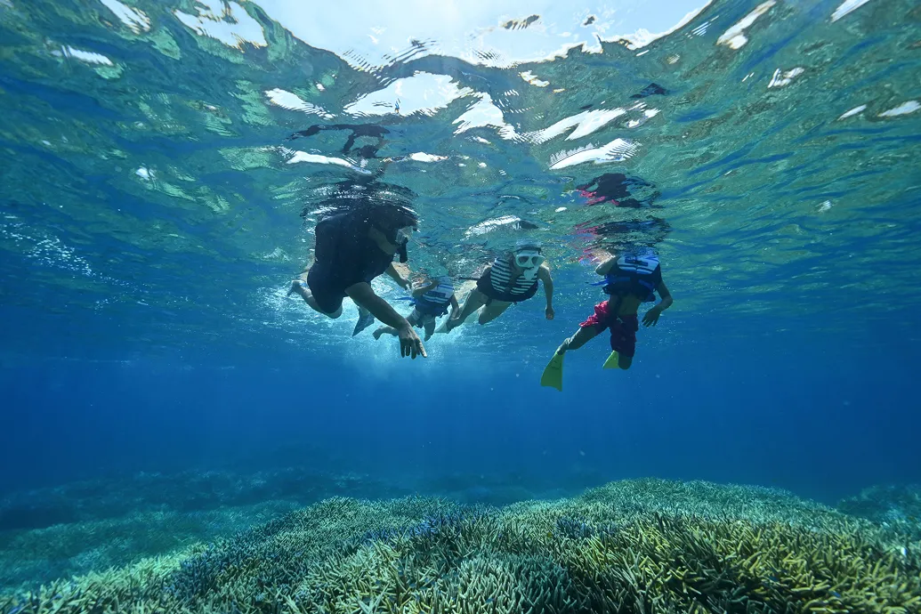 Discover local adventures.