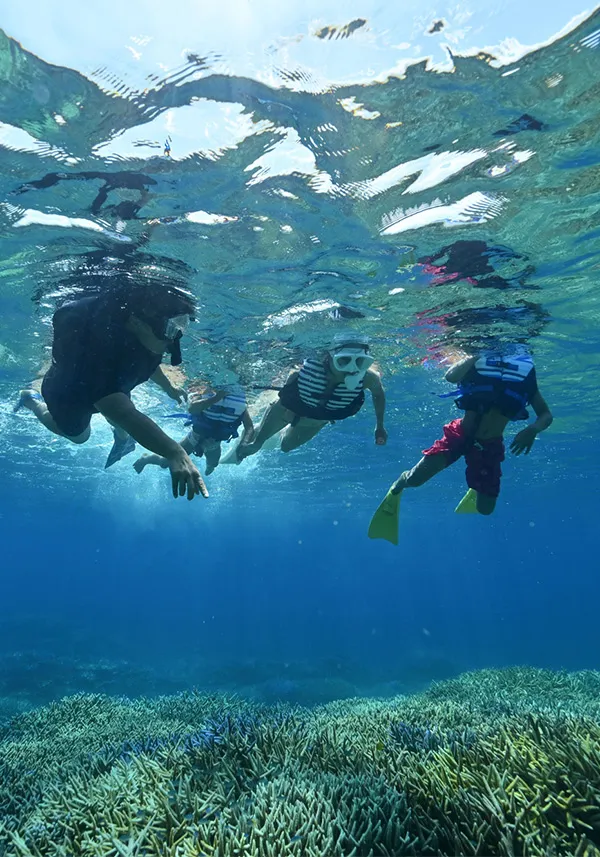 Experience the charms of Ishigaki Island through its seasonal attractions.