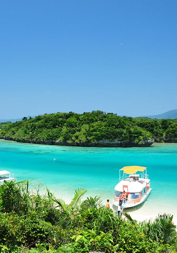 Experience the charms of Ishigaki Island through its seasonal attractions.