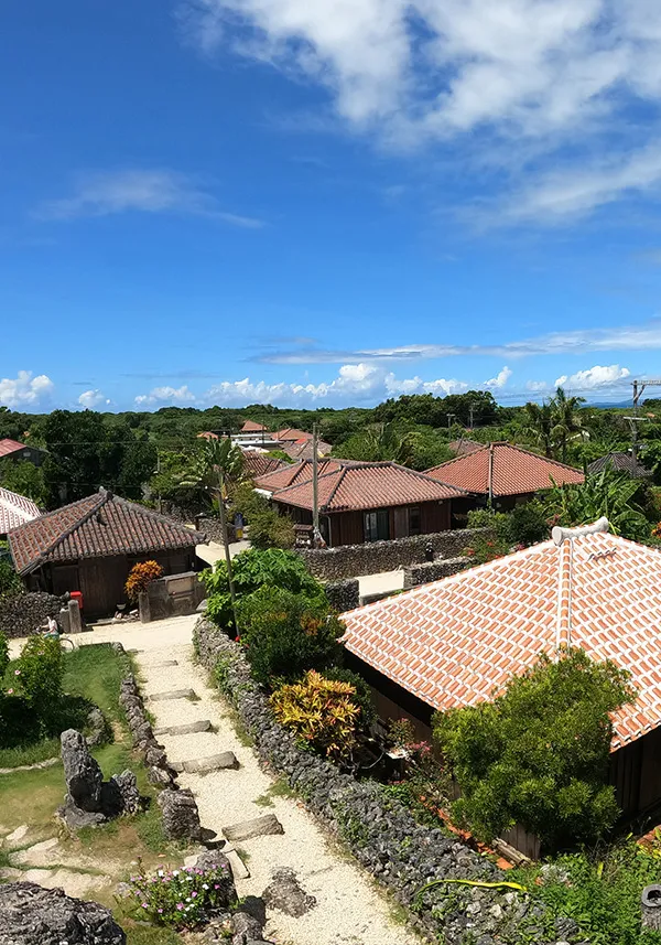 Experience the charms of Ishigaki Island through its seasonal attractions.