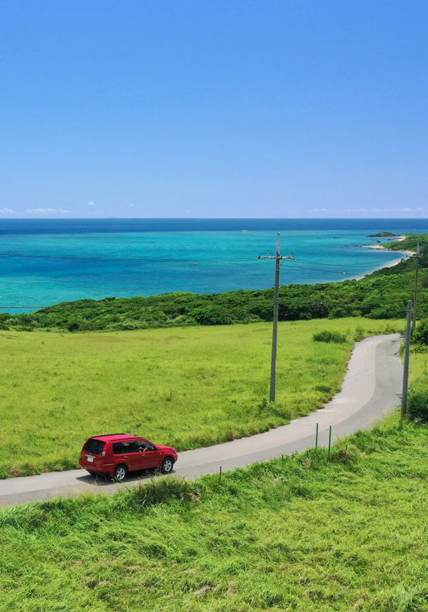 Experience the charms of Ishigaki Island through its seasonal attractions.