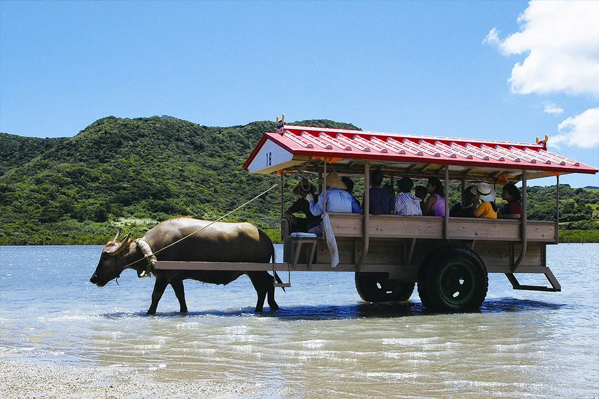 Yubu Island