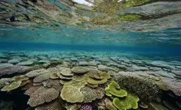 Eco-friendly cleaning service information